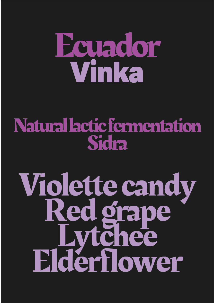 Ecuador - Vinka