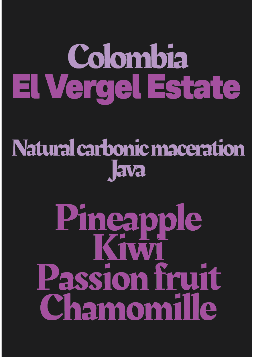 Colombia - El Vergel Java