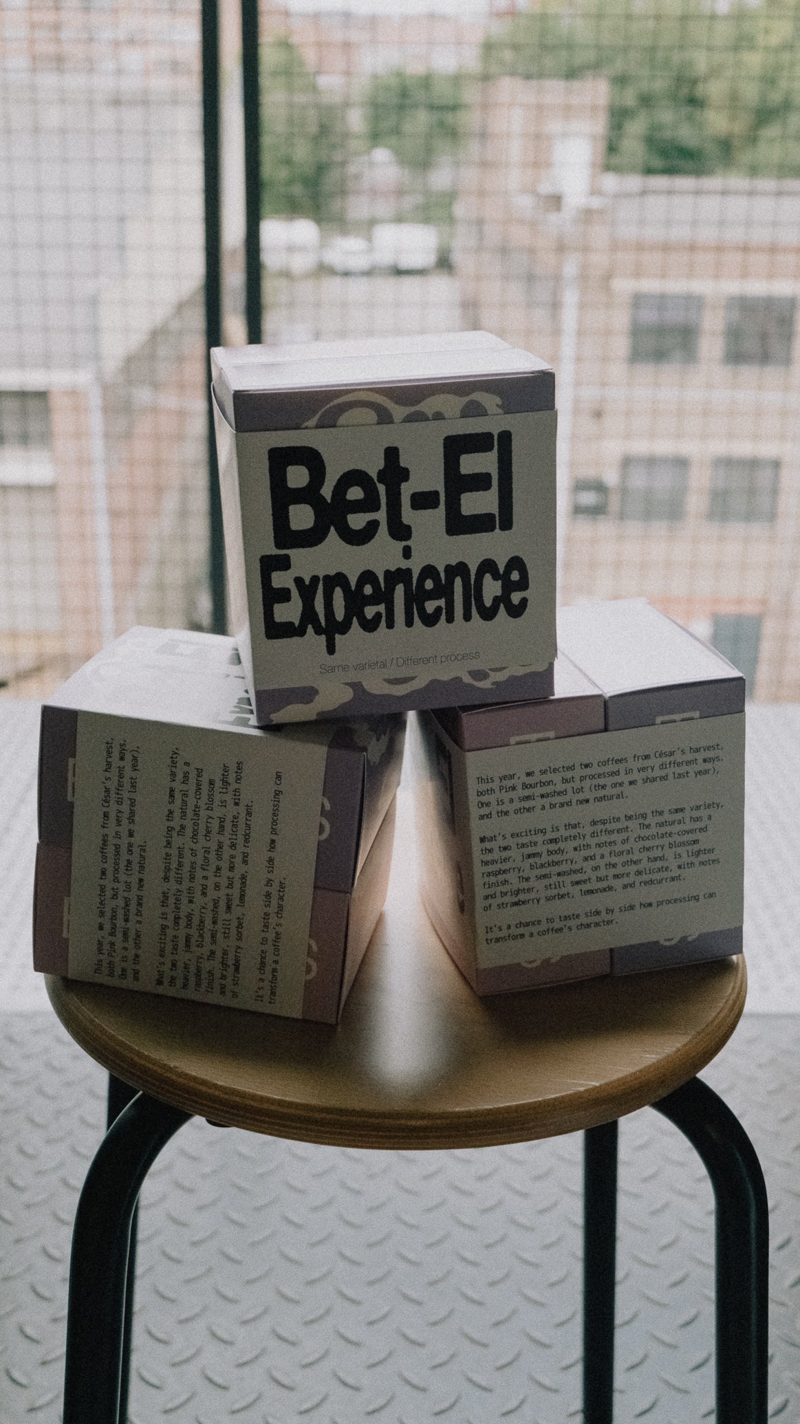 "Bet-El Experience." pack