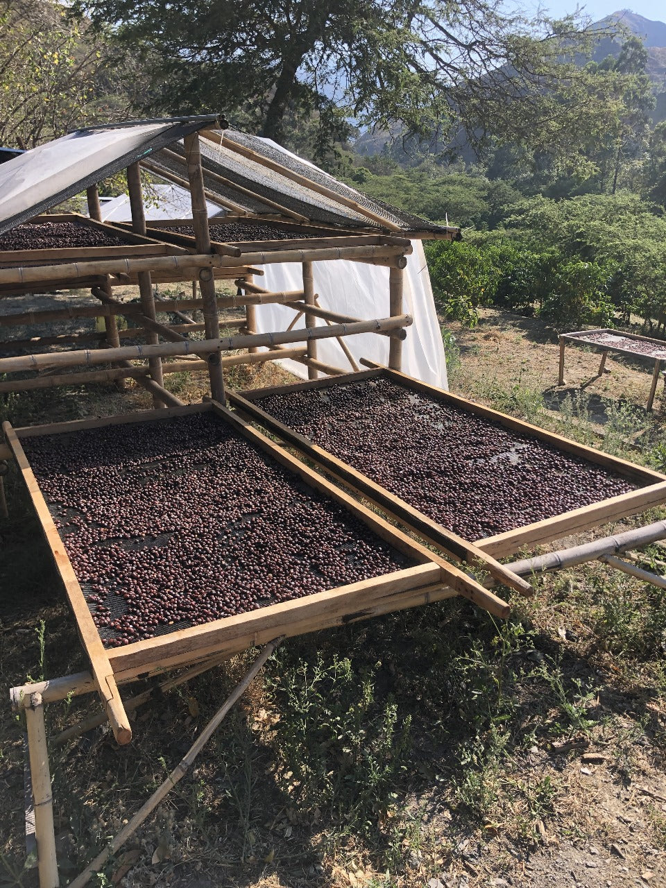 Ecuador - Vinka