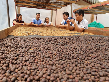 Peru - Las Pirias Gesha