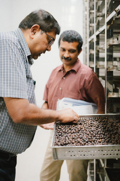 India - Ratnagiri Estate