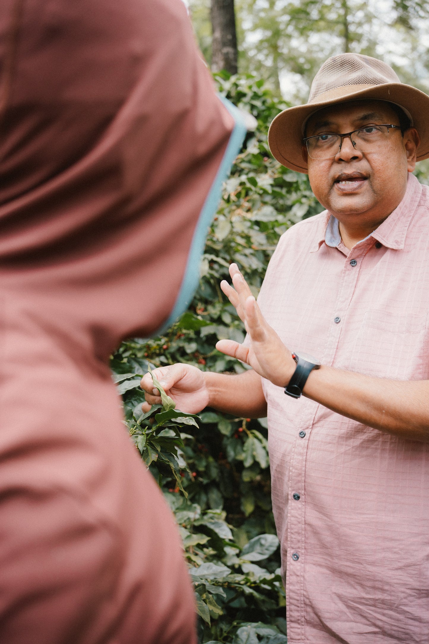 India - Ratnagiri Estate