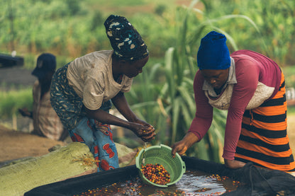 Uganda - Rubirizi