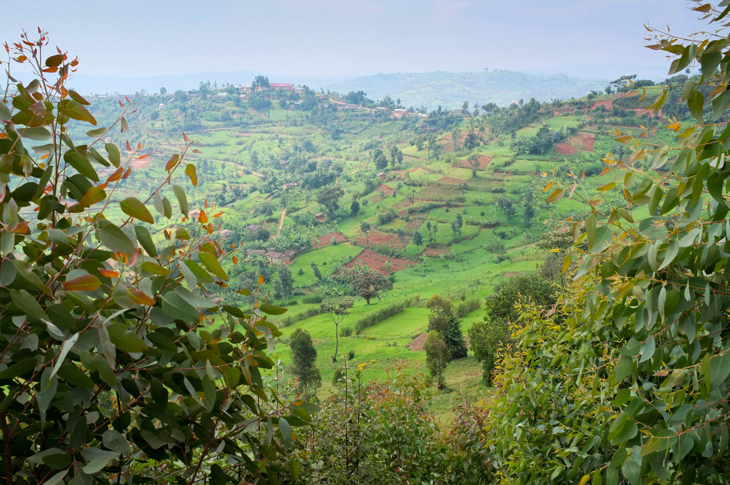 Burundi - Bumba Hill