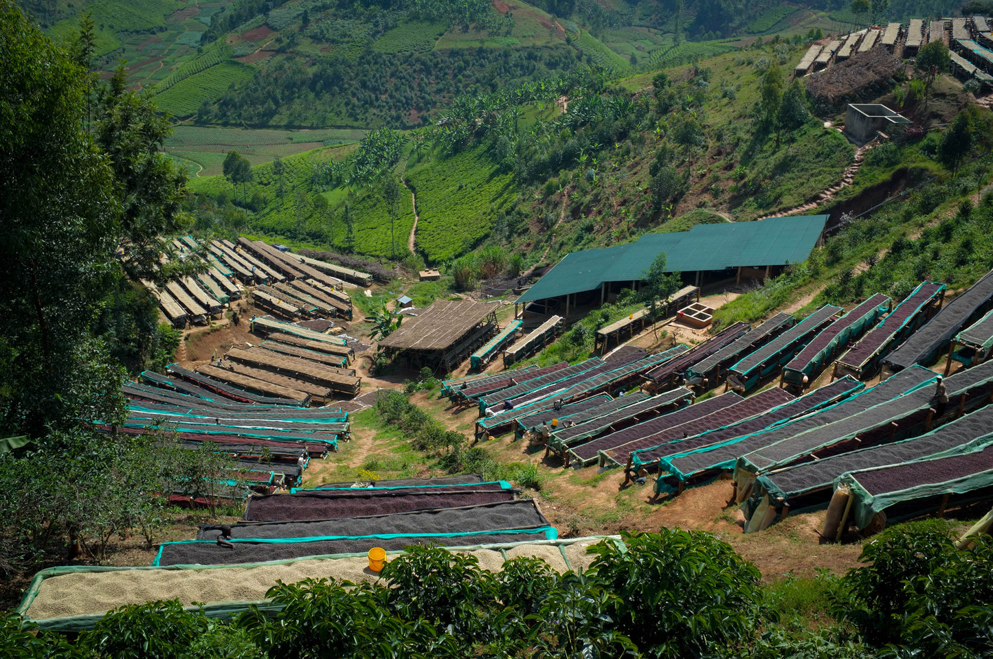 Burundi - Bumba Hill