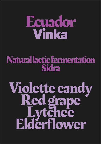 Ecuador - Vinka
