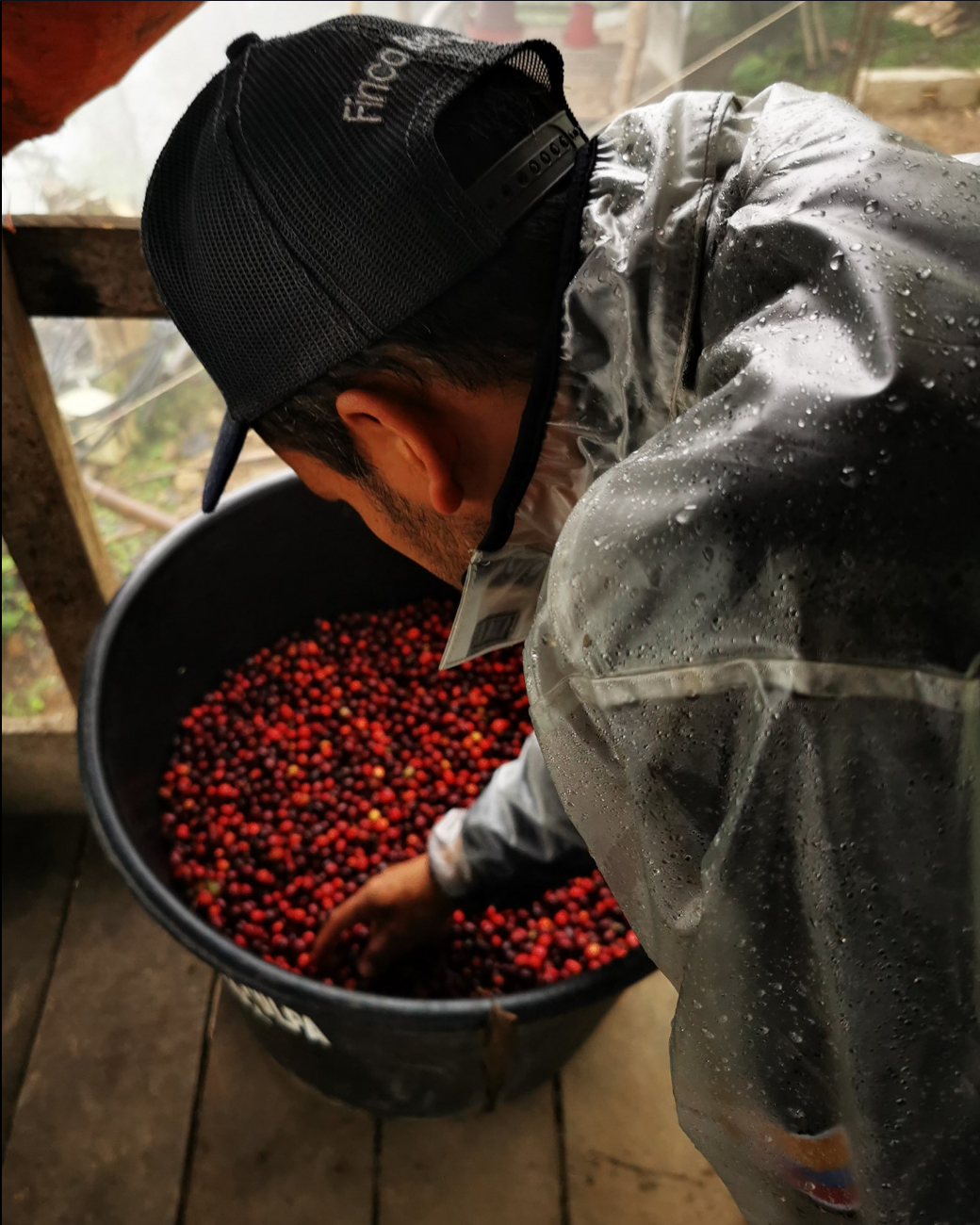 Colombia - Finca Betel semi washed