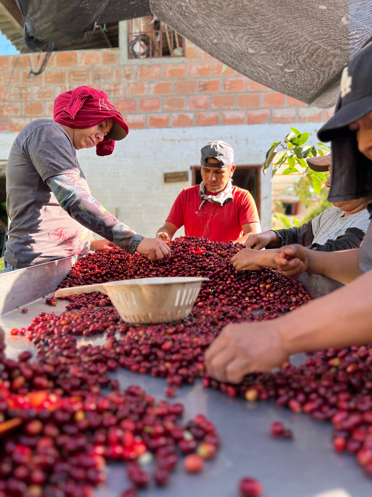 Colombia - Finca Bet-El Semi-Washed