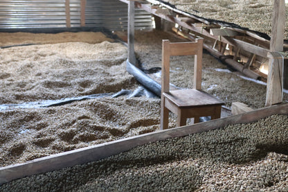 Peru - Las Pirias Gesha