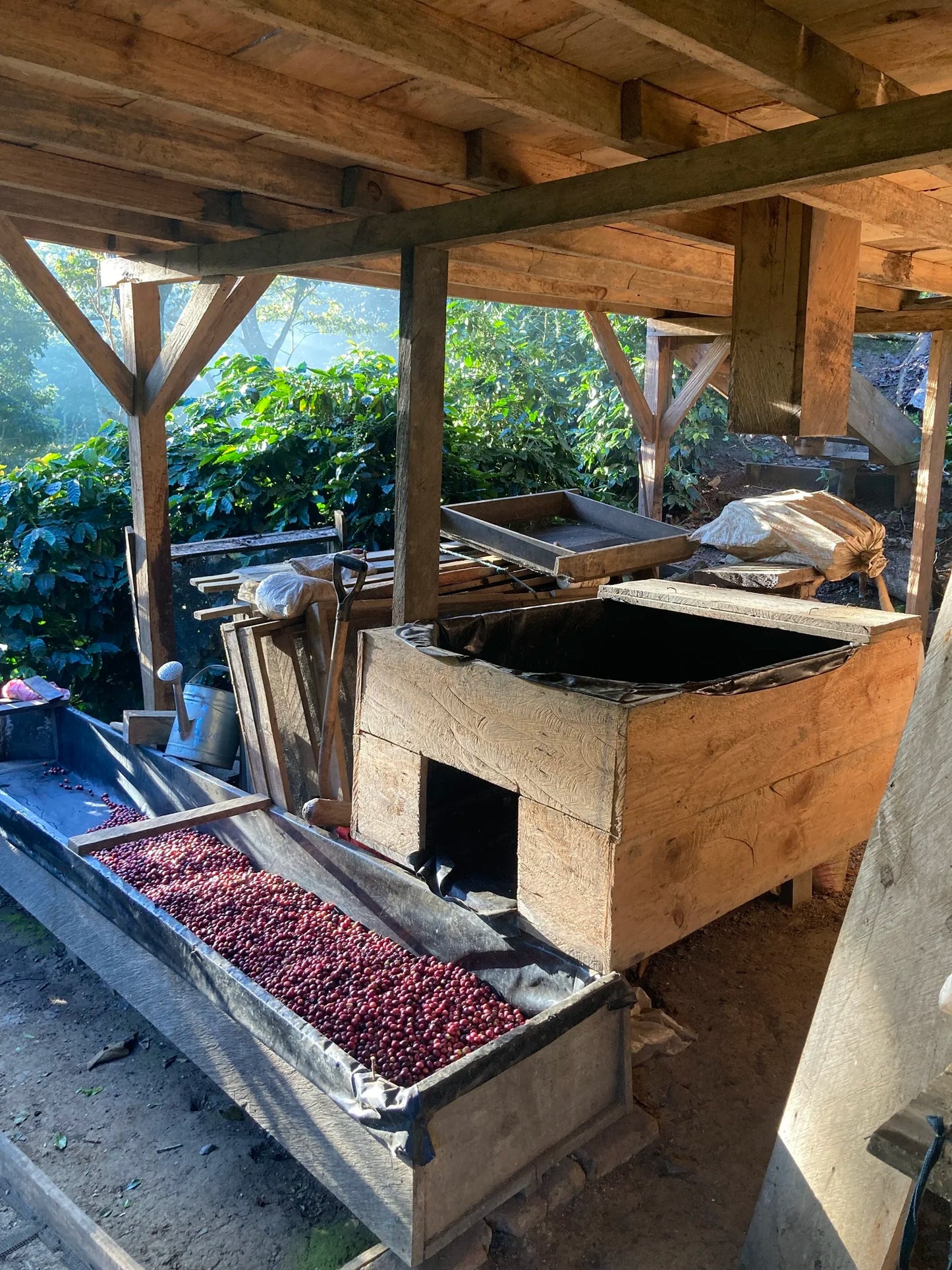 Nicaragua - El Hormiguero