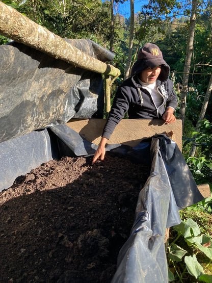 Nicaragua - El Hormiguero