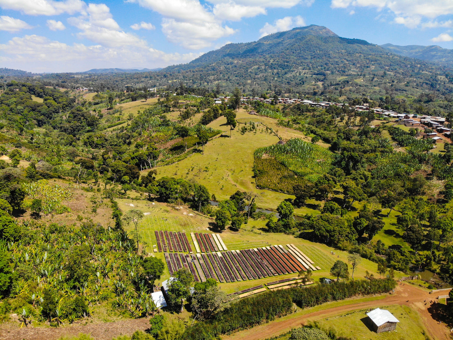 Ethiopia - Keramo natural