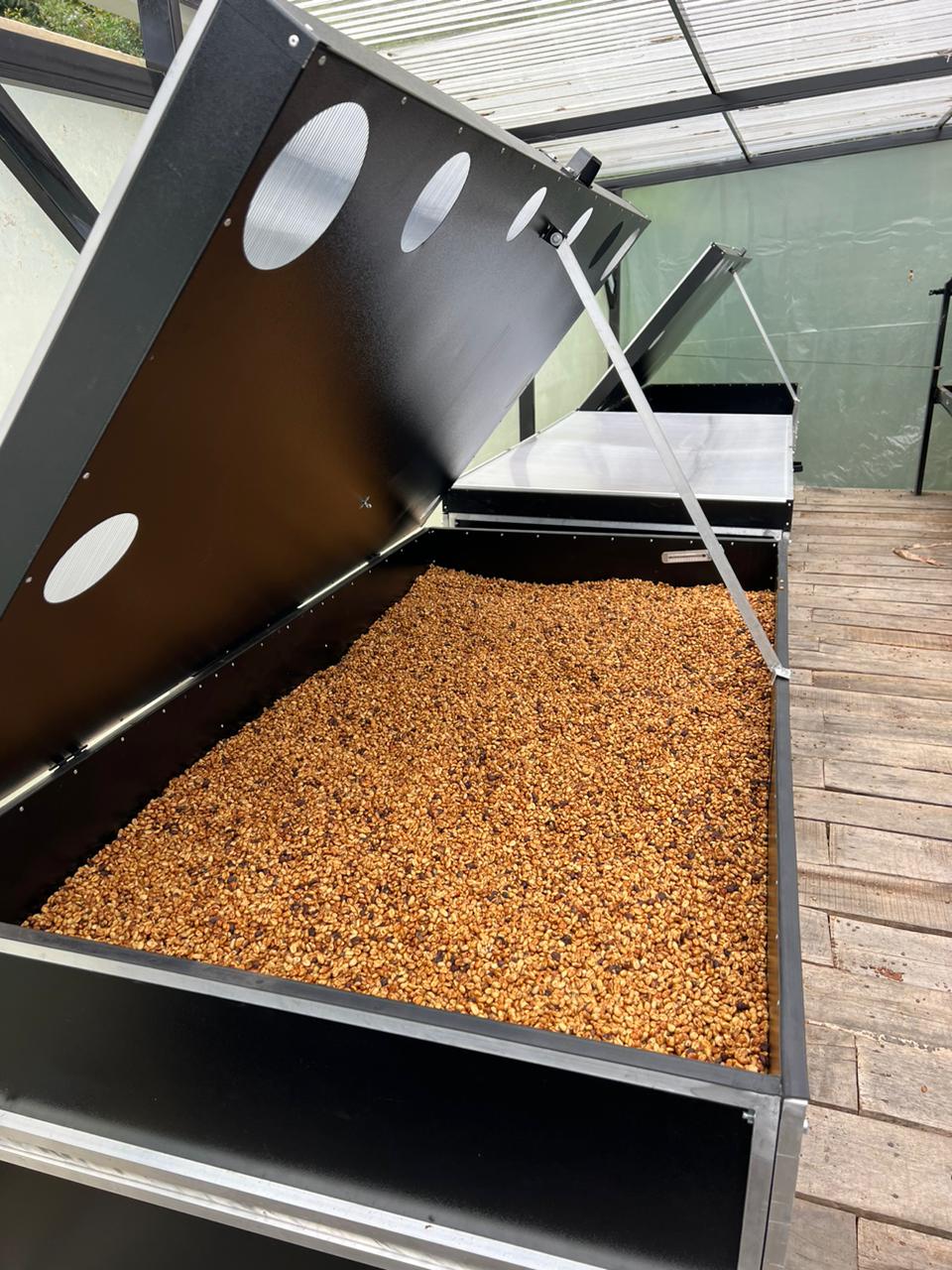 Colombia - Los Nogales low caf