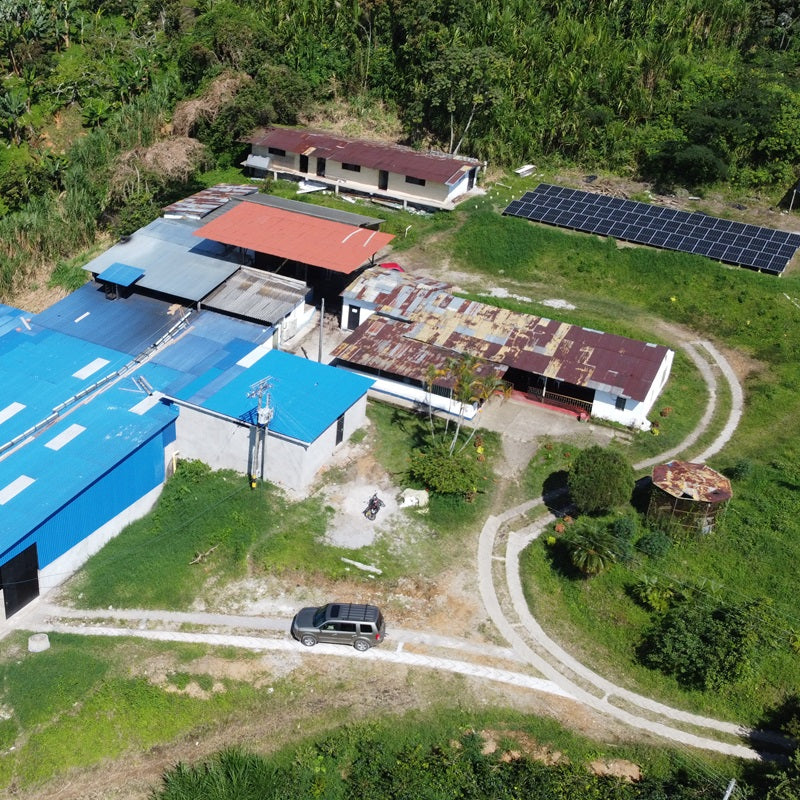 Colombia - El Vergel Papayo